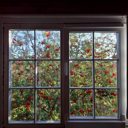 Photo #13523161