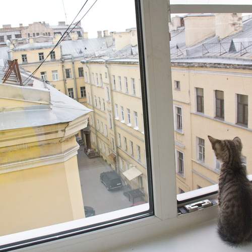 Photo #13523237