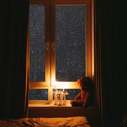 Photo #13523302