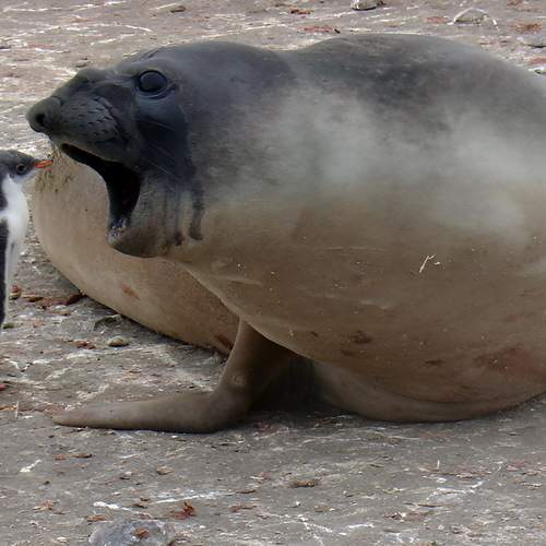 Photo #13523432