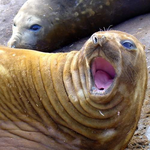 Photo #13523435