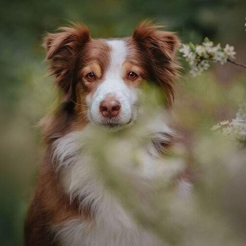 Photo #13523455