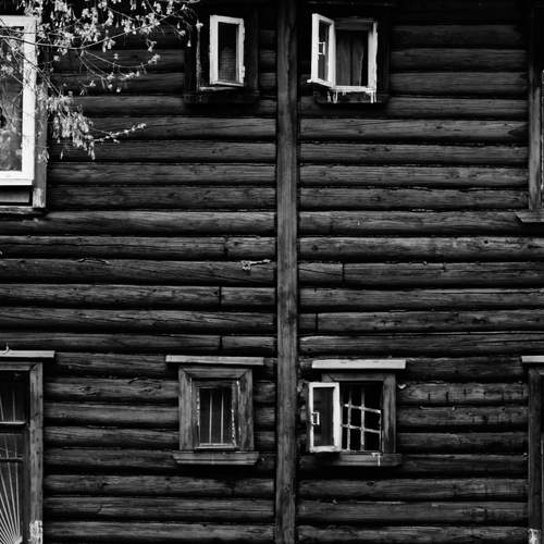 Photo #13523477