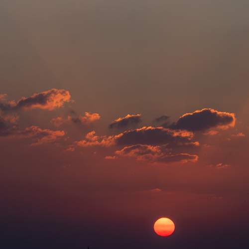 Photo #13523510