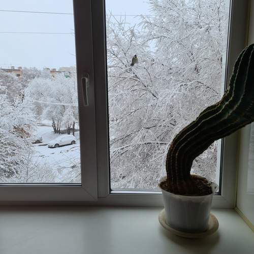 Photo #13523533
