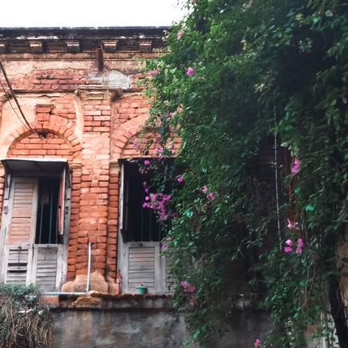 Photo #13523562