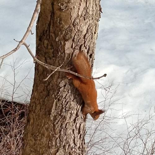 Photo #13523590