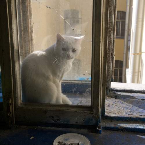 Photo #13523601