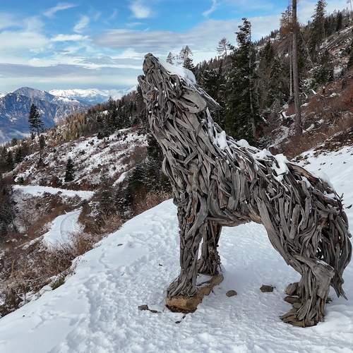 The she-wolf of the Dolomites