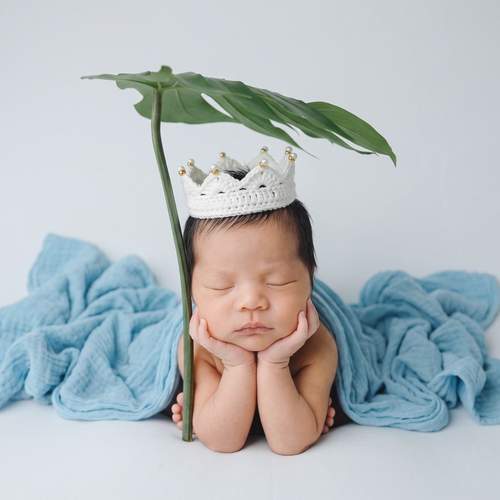 Photo #13523644
