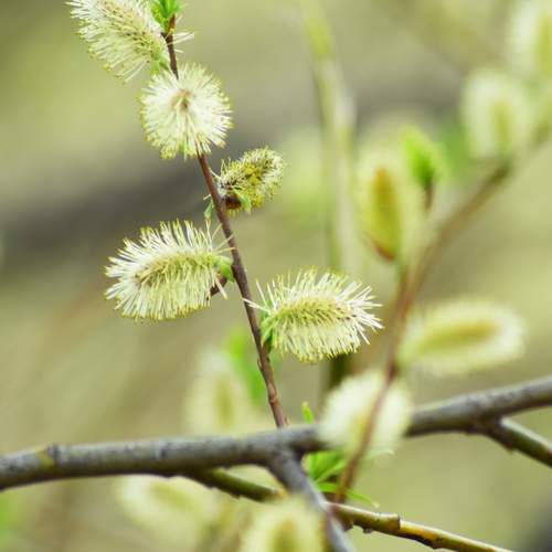 Photo #13523794