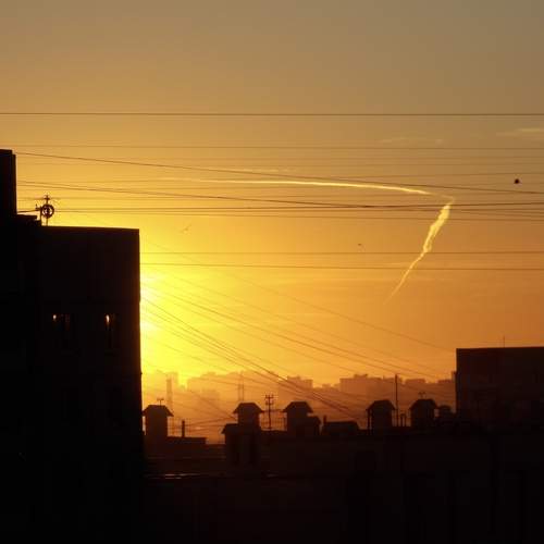 Photo #13523871
