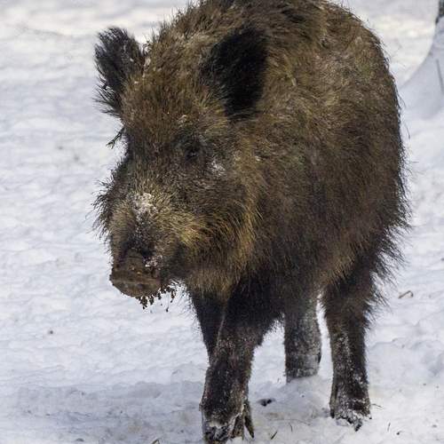 Photo #13523901