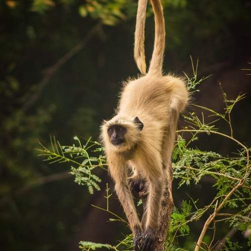 Photo #13523925