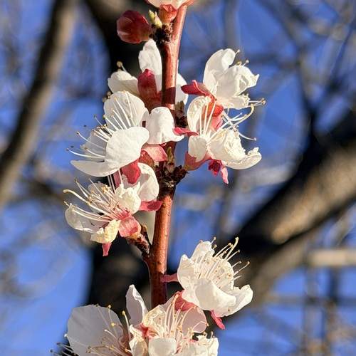Photo #13524110