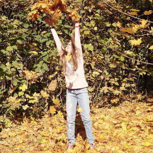 Photo #13524289