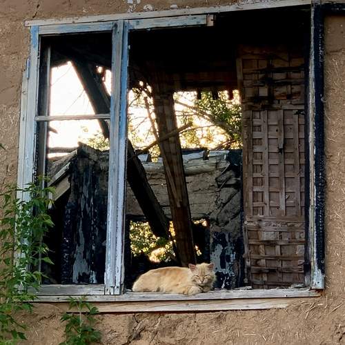 Photo #13524320