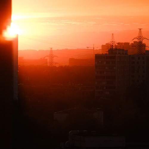 Photo #13524451