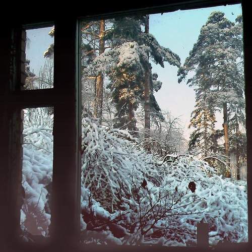Photo #13524458
