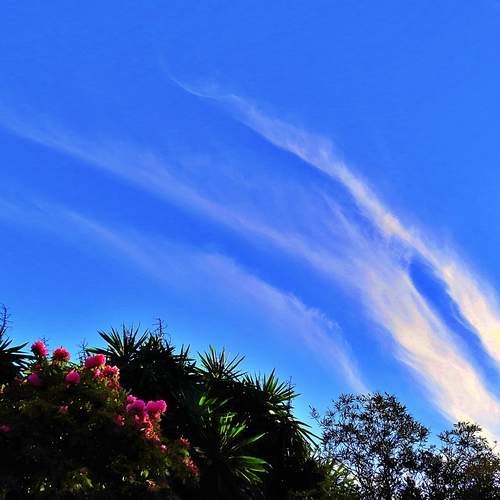 \"Flame\" clouds