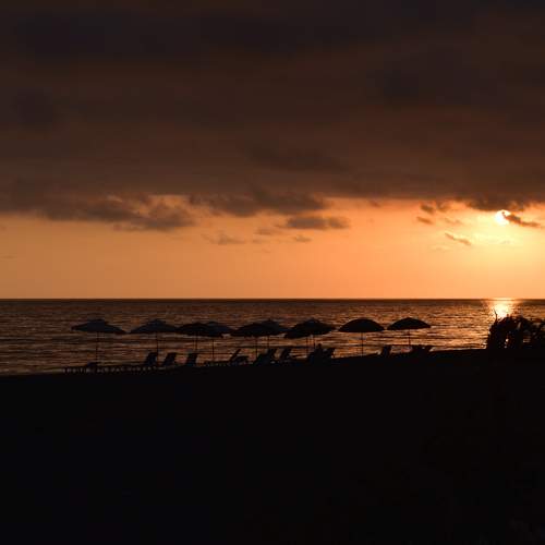 Photo #13524775