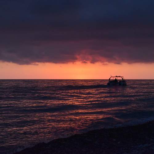 Photo #13524801