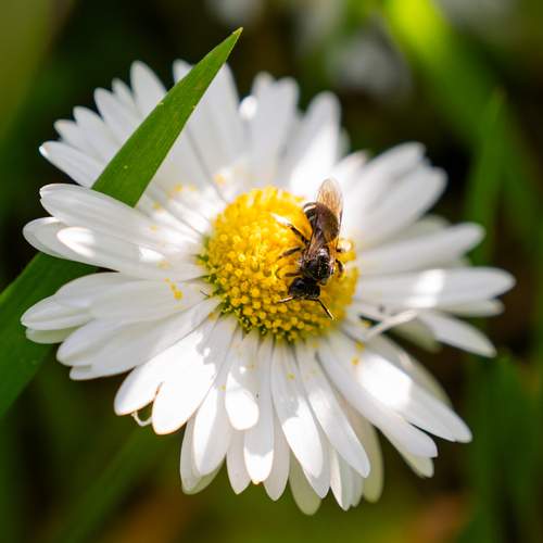 Photo #13524903
