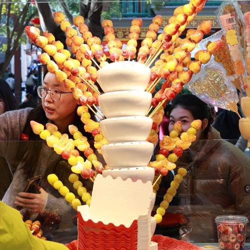 Photo #13524971