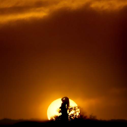Photo #13524985
