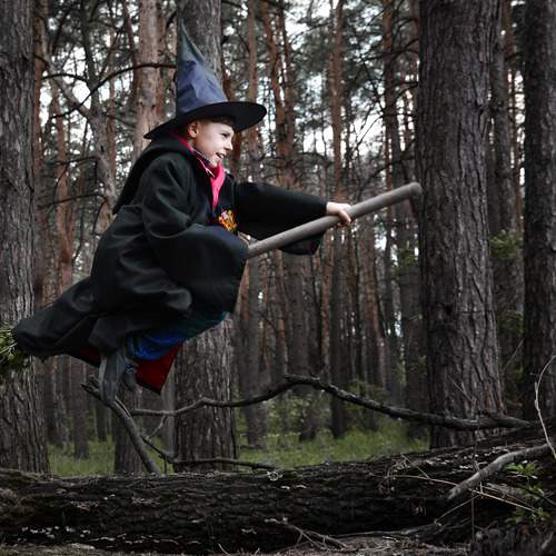 Photo #13525004