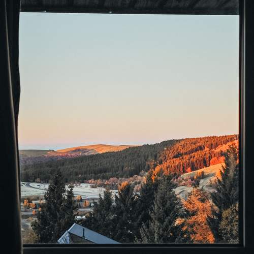 Photo #13525015