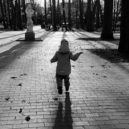 Photo #13525112