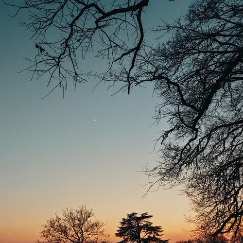 Photo #13525123