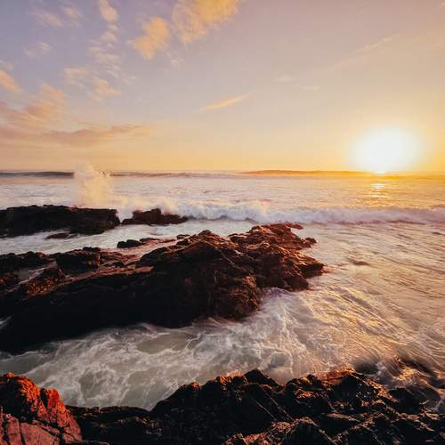 Photo #13525127