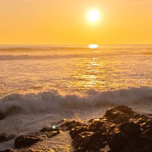 Photo #13525155
