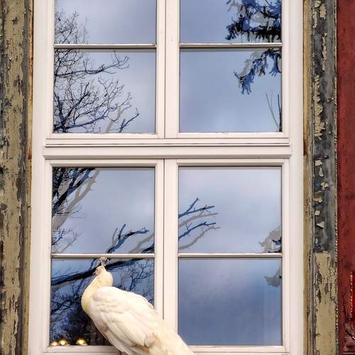 Photo #13525213