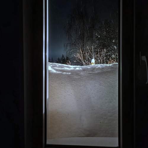Photo #13525214