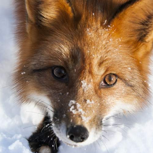 Photo #13525468