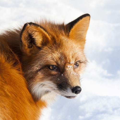 Photo #13525471