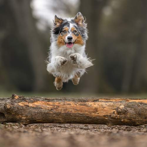 Photo #13525557