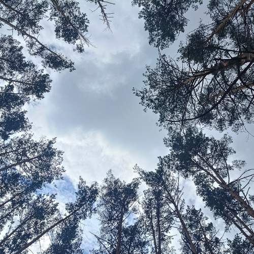 Photo #13525586