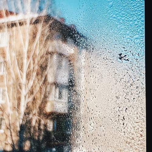 Photo #13525794