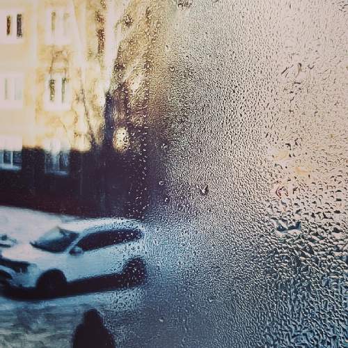 Photo #13525796