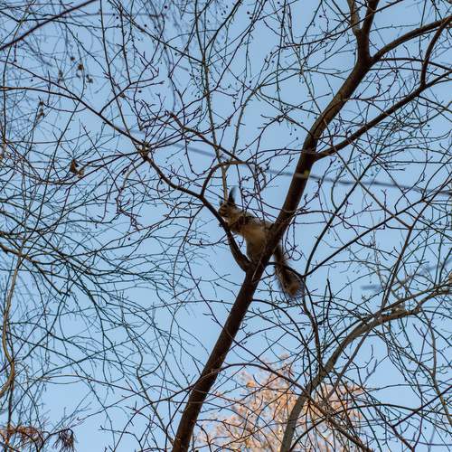 Photo #13525875