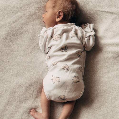 Photo #13526236