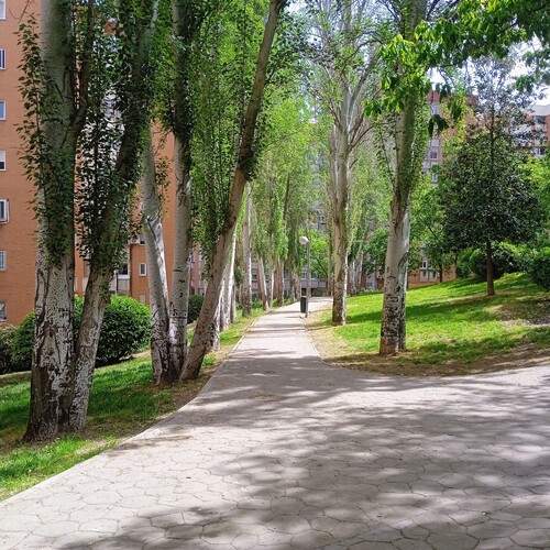 Photo #13526340