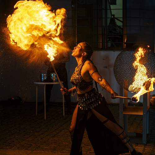 Photo #13526404