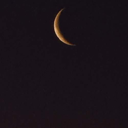 Photo #13526453