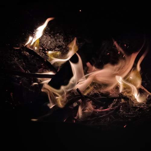 Photo #13526503
