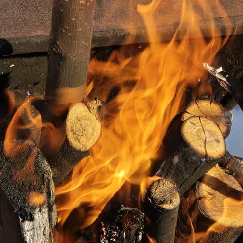 Photo #13526600